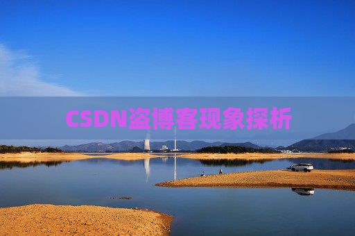 CSDN盗博客现象探析